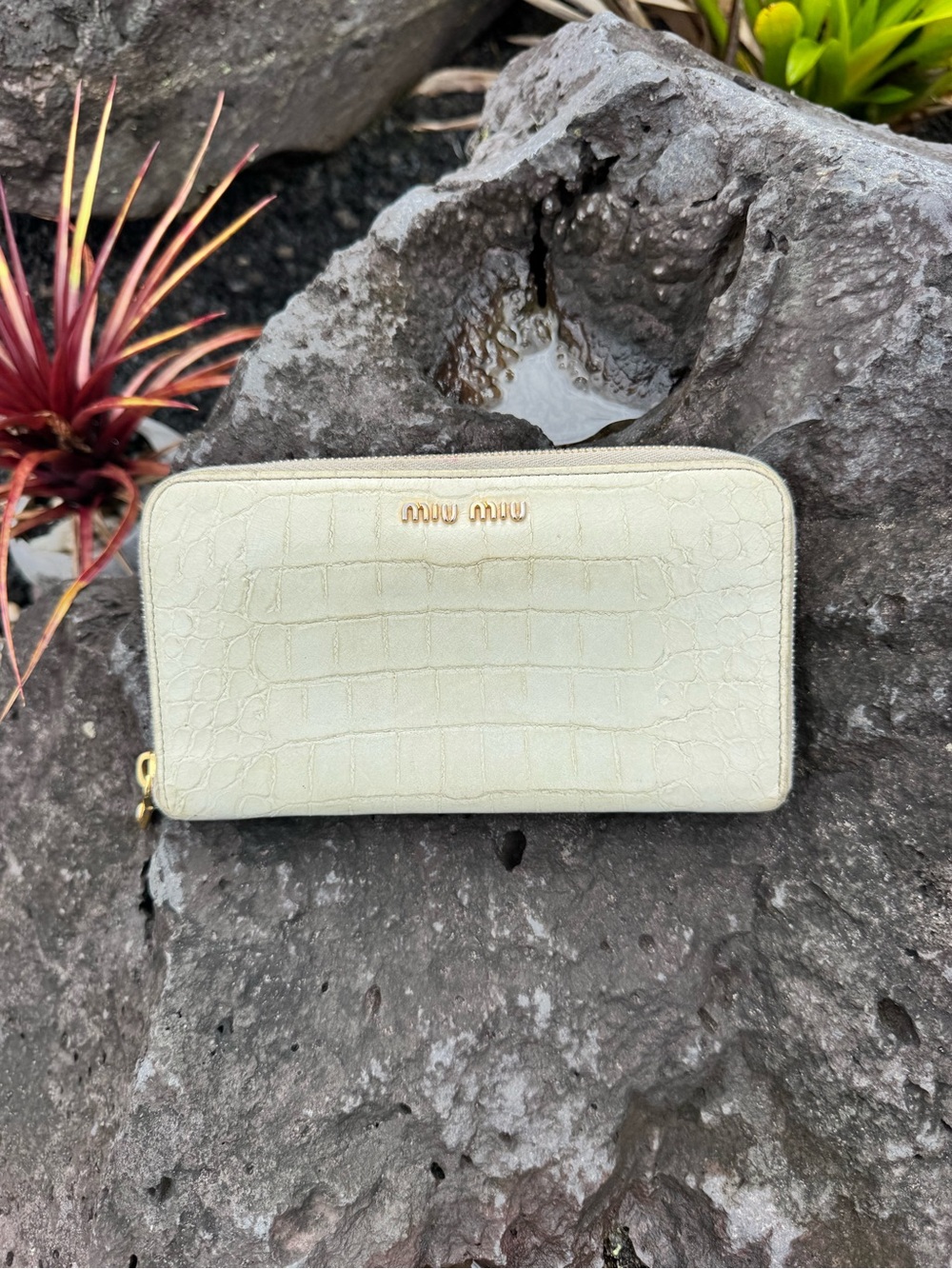 Miu Miu Cream Croc Embossed Zip Around Wallet Gold Hardware